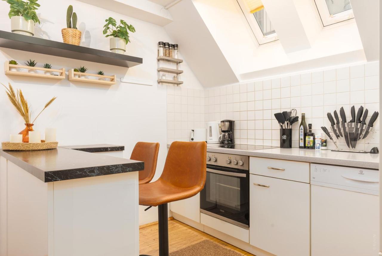 Apartamento Penthouse, 3 Separate Bedrooms, 2 Min To U6 Nussdorfer Strasse *